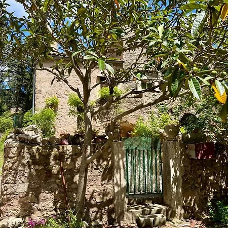 Well Equipped Close To Historic Centre - * Pezenas