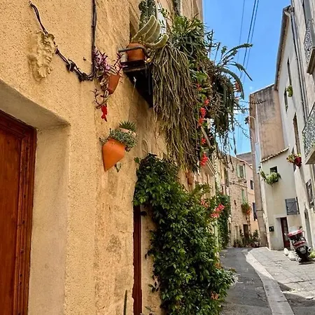 Well Equipped Close To Historic Centre - * Pezenas