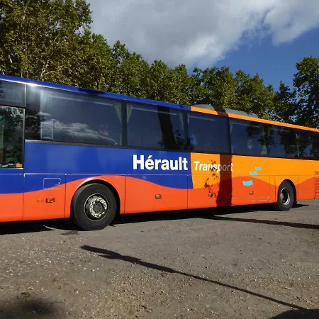 Well Equipped Close To Historic Centre - * Пезенас
