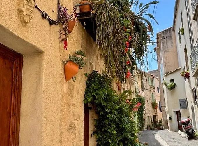 Well Equipped Close To Historic Centre - * Pézenas